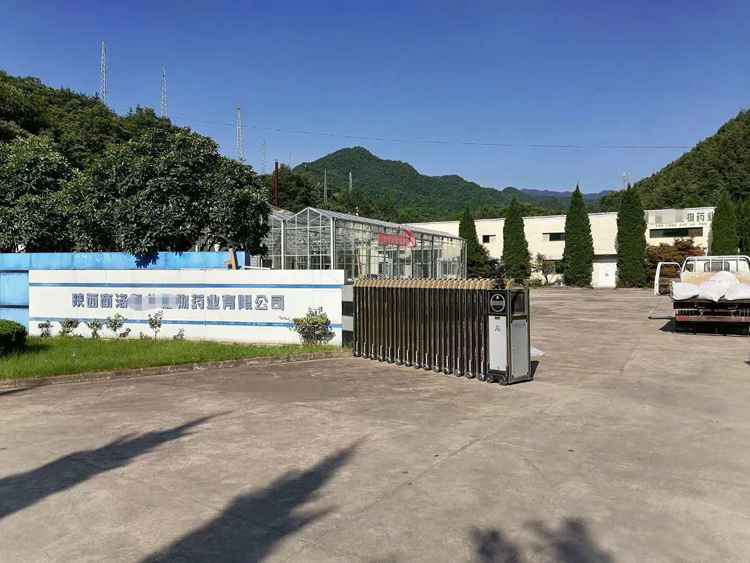 陜西商洛生物藥業(yè)有限公司216kw電加熱蒸汽發(fā)生器
