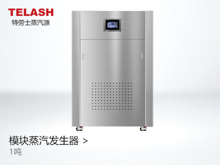 1噸 蒸汽模塊爐