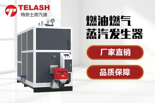 特勞士蒸汽源：為新加坡化工廠提供高效蒸汽發(fā)生器配套方案！