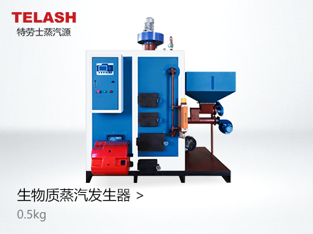 0.5噸生物質(zhì)蒸汽發(fā)生器