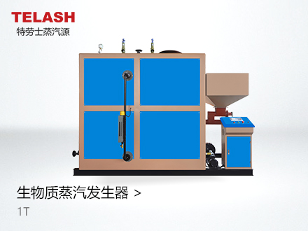 1.0噸 生物質(zhì)蒸汽發(fā)生器