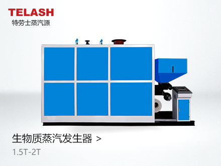 2.0噸 生物質(zhì)蒸汽發(fā)生器